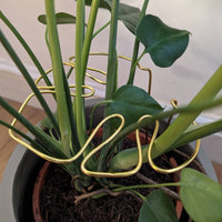 Monstera Shaped Plant Support - Gold Coloured