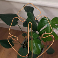 Monstera Shaped Plant Support Upright- Copper Coloured