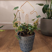 Monstera Shaped Plant Support Upright- Copper Coloured