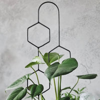 Hexa Line | 60cm | Black | Plant trellis, plant support for monstera, hoya | Home decor, plant accessories, green design for plantlovers