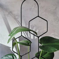 Hexa Line | 60cm | Black | Plant trellis, plant support for monstera, hoya | Home decor, plant accessories, green design for plantlovers